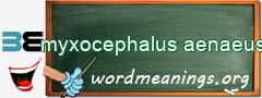WordMeaning blackboard for myxocephalus aenaeus